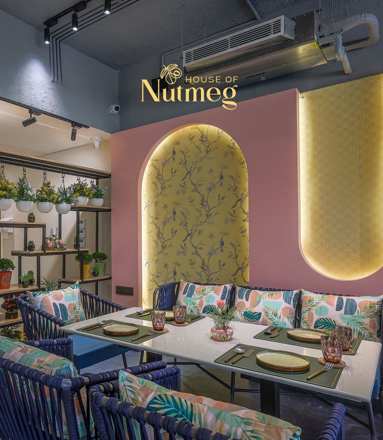 House of Nutmeg